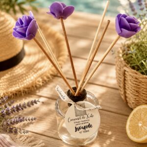 Diffuseur d’ambiance + bâtons 100 ml